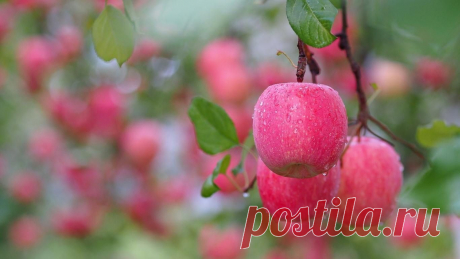 125041857_ssssssssssssss.jpg (Изображение JPEG, 1366 × 768 пикселов) - Масштабированное (74%)