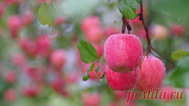 125041857_ssssssssssssss.jpg (Изображение JPEG, 1366 × 768 пикселов) - Масштабированное (74%)