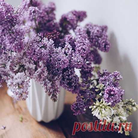 КАКОЙ СЕГОДНЯ ПРАЗДНИК? 19 Мая 2017 г. – Пятница • День рождения пионерской организации (День пионерии)95 лет • День парусов на горизонте • Европейский день соседей (European Neighbours Day)17 лет • Международный день борьбы с гепатитом B9 лет • День конной авиации • День пищевой революции (Food Revolution Day) • День русской печи • День рождения Кубика Рубика43 года • День памяти геноцида малоазийских греков • Именины у Дионисия, Михея, Ивана, Василия, Дениса • Иов Огуречник