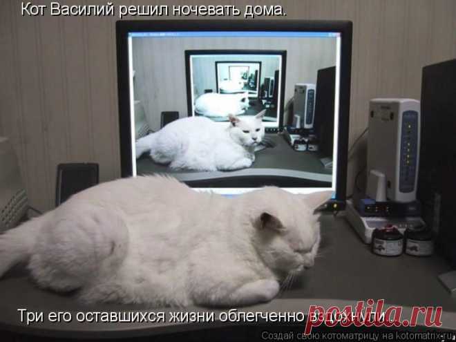 d0.jpg (Изображение JPEG, 750 × 562 пикселов)
