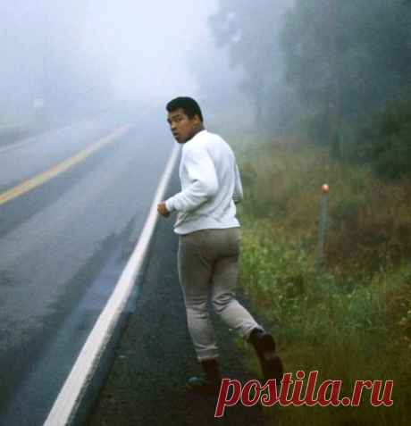 Разговор с самим собой оказывает огромное влияние на ваш уровень успеха в любой сфере жизни, будь то здоровье, счастье, богатство, взаимоотношения с окружающими.