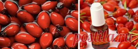 Применение масла шиповника для волос - Mamapedia
