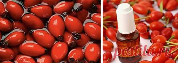 Применение масла шиповника для волос - Mamapedia