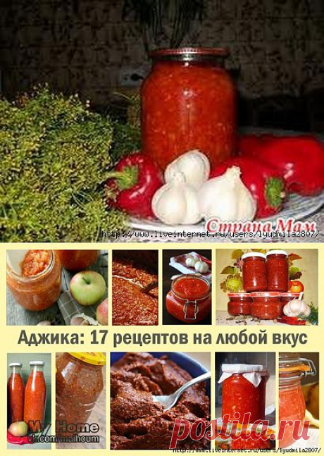 Настоящая и домашняя аджика + ещё 17 рецептов.