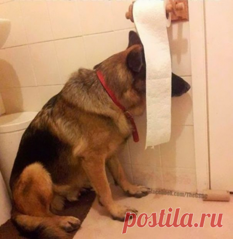 Найди меня, если сможешь