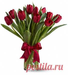 Abbotsford Florists - Flowers in Abbotsford BC - Abby's Flowers Plus