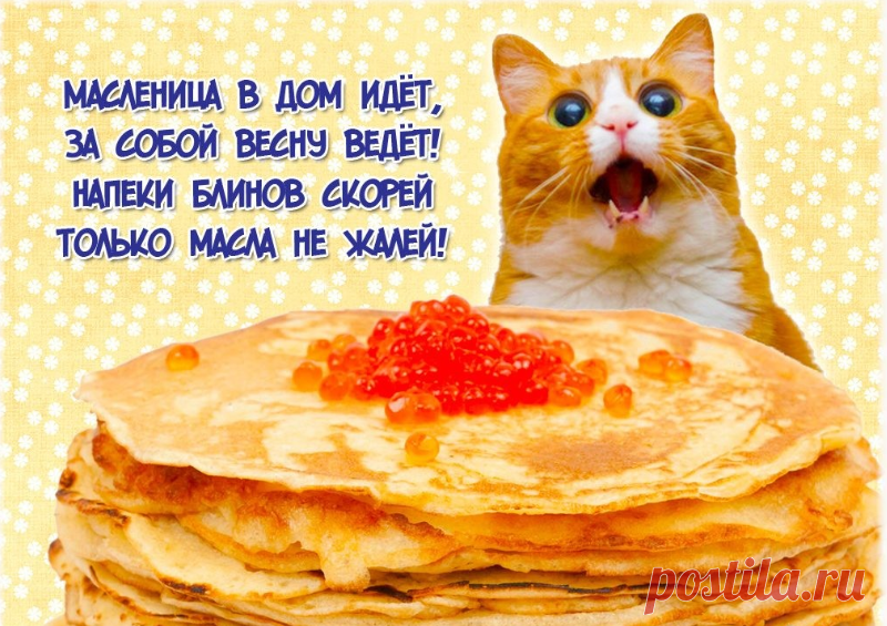 (6) Одноклассники