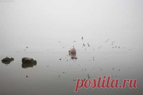 Кандалакша в фотографиях ✔