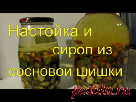 Как приготовить настойку и сироп из сосновых шишек.