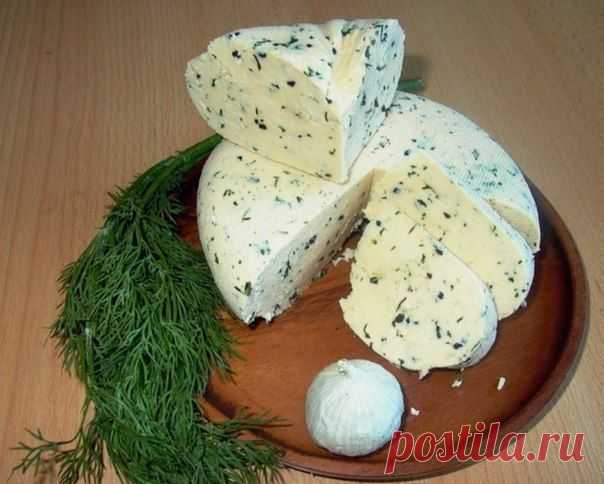 Домашний сыр.