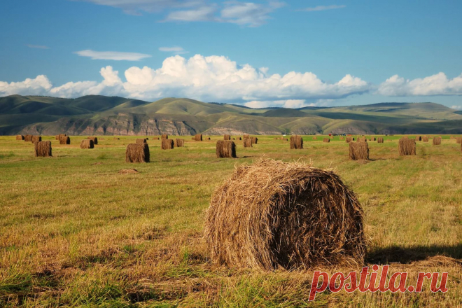 nature of russia: 10 тыс изображений найдено в Яндекс.Картинках