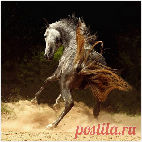 (5) Одноклассники