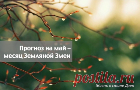 Прогноз Фен-шуй на май 2019 года — месяц Земляной Змеи