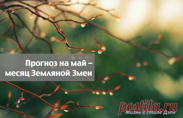 Прогноз Фен-шуй на май 2019 года — месяц Земляной Змеи