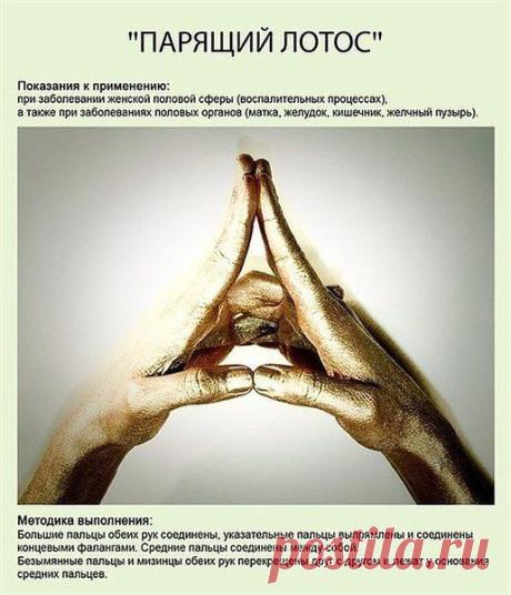 Татьяна Климова: Живите сильно, молодо и с удовольствием...