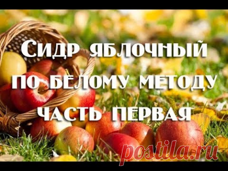 Газированный домашний сидр из яблок: 1 часть рецепта (постановка сусла на брожение)