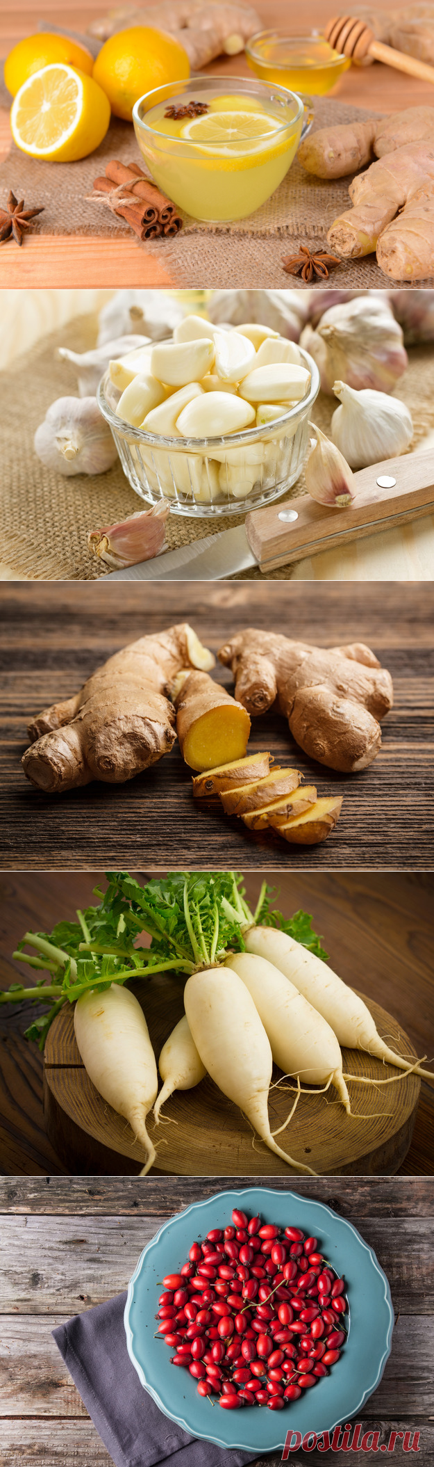 Вкусный способ повысить иммунитет: 8 полезных продуктов - KitchenMag.ru