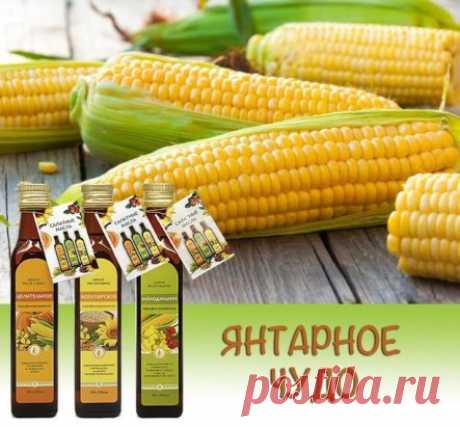 ЯНТАРНОЕ ЧУДО
Из всех растительных масел многие хозяйки выбирают кукурузное, считая его полезным. Но это справедливо только в том случае, если масло не подвергалось рафинации.
 
Для справки: рафинация — лишение масла полезных смолистых и клейких веществ. В процессе рафинации и гидратации из него удаляется лецитин (крайне важный элемент для жизнедеятельности клетки), хлорофилл, витамины и минералы.
Другое дело — нерафинированное кукурузное масло холодного отжима. Вот это масло — «правильное»! Дл