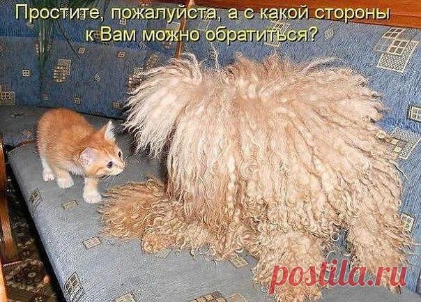 Лилия Советкина | ВКонтакте