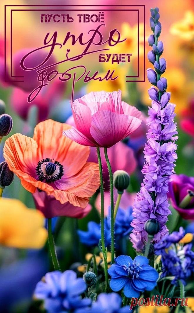 Доброе утро