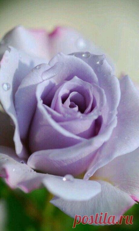 image (480×800)