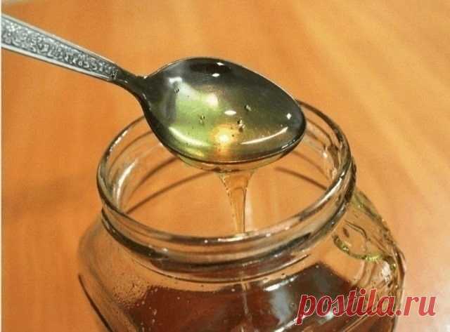 Медовая вода изгонит паразитов, поможет похудеть и многое другое