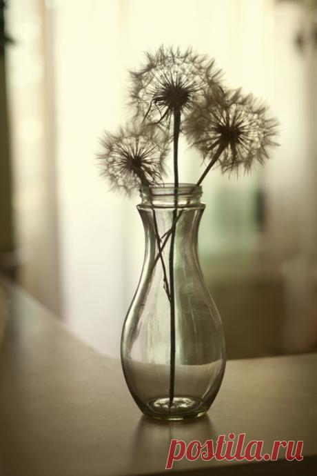 Почему же так получается... Фотограф Меньтюгова Наталья