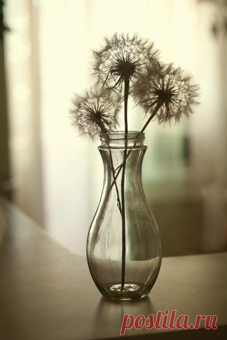 Почему же так получается... Фотограф Меньтюгова Наталья