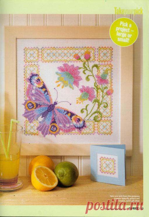 Gallery.ru / Фото #55 - ПЕРНАТЫЕ БАБОЧКИ - Fleur55555