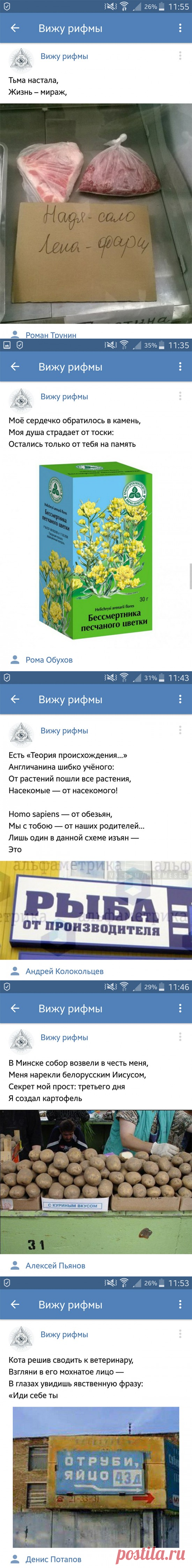 Позитивные картинки в рифму