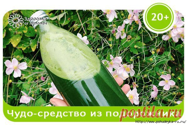 ЧУДО-СРЕДСТВО ИЗ ПОДОРОЖНИКА!