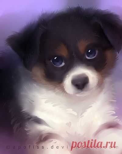 (35) Pinterest