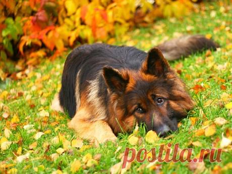 Мой Мир@Mail.Ru