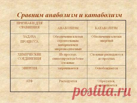 Диета Эммануила Ревича: выравниваем метаболизм | Диеты со всего света