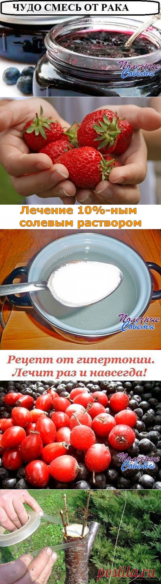 (47) Одноклассники