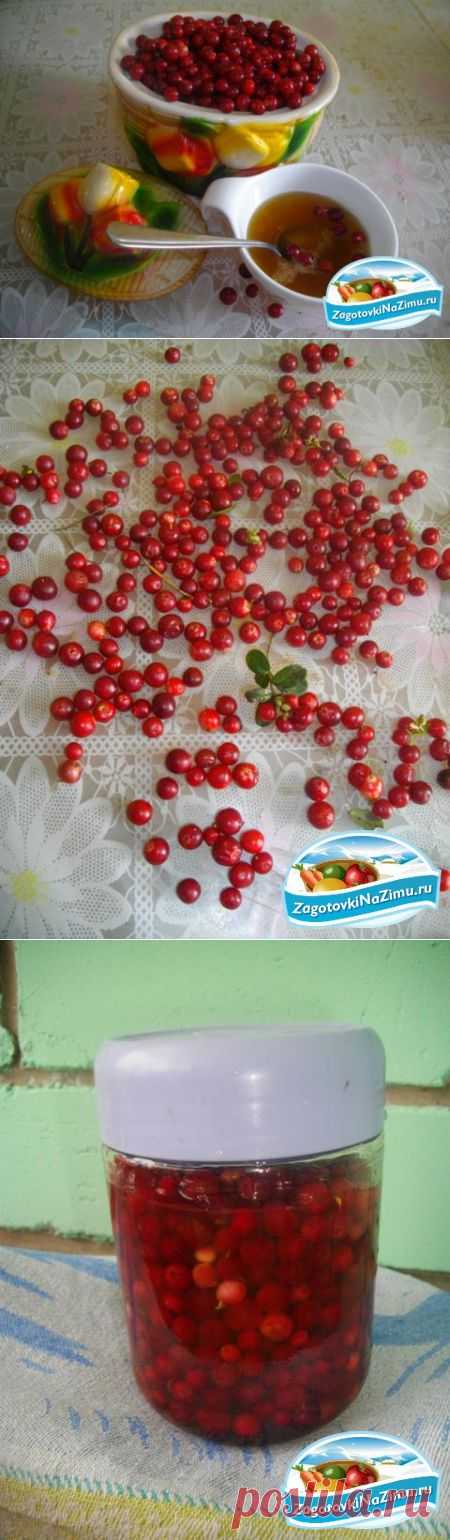Брусника моченая на меду. Рецепт с пошаговыми фото