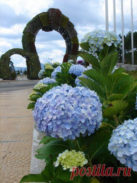 Избранное | Фотографии Елена Жёлтышева | 75 фото