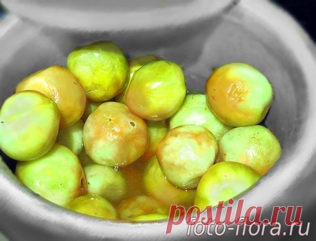 Как солить зеленые помидоры на зиму -  вкусные рецепты Заготовки на зиму