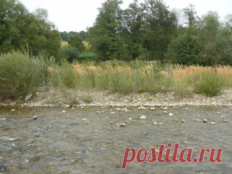 р. Пистынька с. Нижний - Вербиж .Речка детства моего.
