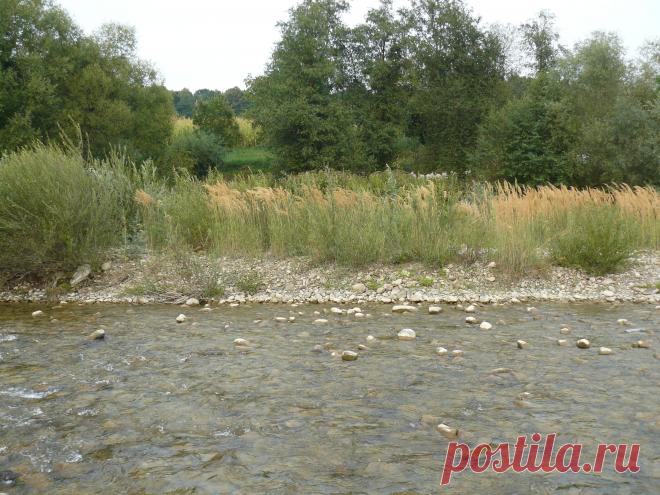 р. Пистынька с. Нижний - Вербиж .Речка детства моего.