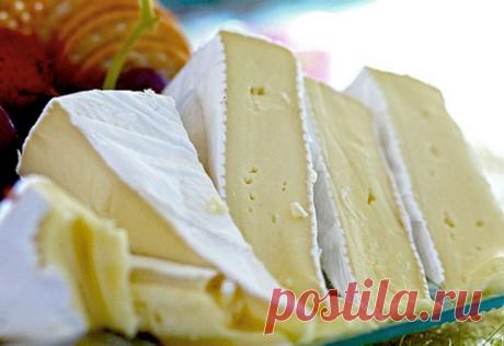 Сыр Бри в домашних условиях. Рецепт сыра Бри с плесенью