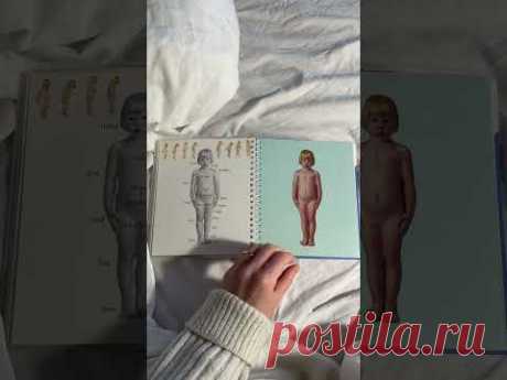 The Body (My First Discoveries) by Sylvaine Peyrols (Author, Illustrator)