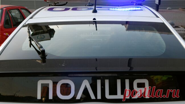 Полиция Киева составила протокол на девушку, избитую за поддержку России