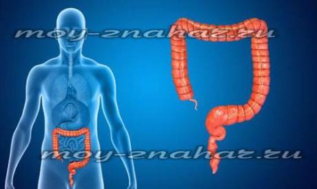 Что можно есть после колоноскопии кишечника, диета