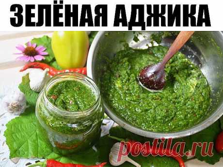Зеленая аджика  это вкусная приправа ко многим блюдам: к мясу, к картошке, она очень полезная для здоровья и долголетия. Ее можно кушать сразу или хранить в холодильнике до следующего лета, если только там что-то останется. Готовится необычайно просто и вкусно. Очень вкусно! Тот, кто попробует один раз, больше не сможет отказаться от нее.))) 

Состав: 

3-4 головки чеснока 
3-4 луковицы 
3-4 зеленых сладких перца 
3 шт. горького перца 
пучок петрушки 
пучок укропа 
некотор...