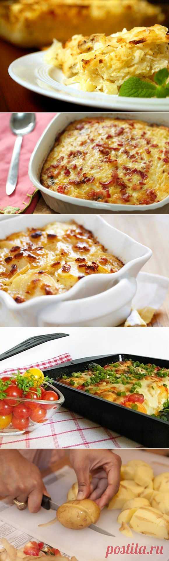 Как приготовить картофельную запеканку: 5 рецептов