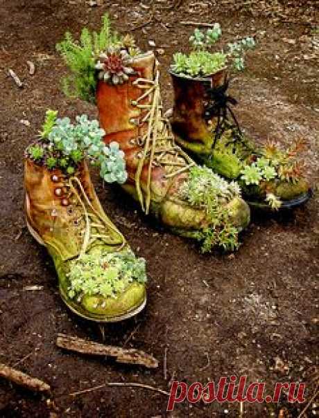 (3) Pinterest • The world’s catalog of ideas