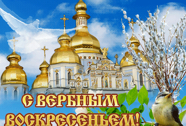 Желаю радости, тепла,
Жизнь чтобы щедрою была.
Пусть в дом придет любовь, везенье,
И счастье. С Вербным воскресеньем!