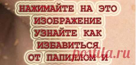 Мой Мир@Mail.Ru: Поиск по хэштегам
