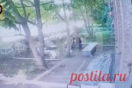 В российском городе медведь напал на людей во дворе жилого дома. В Костроме медведь напал на двоих молодых людей во дворе жилого многоэтажного дома. На опубликованных кадрах видно, как медведь подбежал к сидевшим на лавке парням, которым удалось убежать. Прибывшие на место сотрудники МЧС испугали медведя, и тот забрался на дерево. Его усыпили с помощью специального дротика.